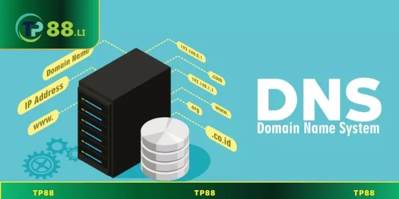 Cách thay đổi DNS trên các thiết bị di động
